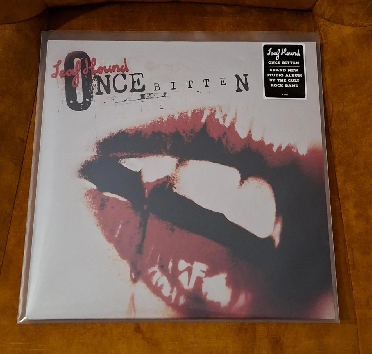 Lp Leaf Hound – Once Bitten – photo 3